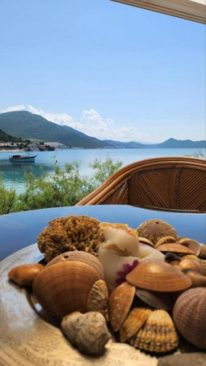 Apartman PITOSPORA, Klek